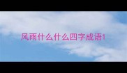 风雨什么什么四字成语