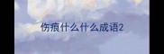 伤痕什么什么成语