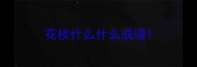 花枝什么什么成语
