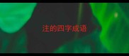 注的四字成语
