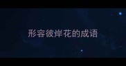 形容彼岸花的成语