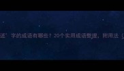 必学带述字的成语有哪些20个实用成语整理附用法附表情包
