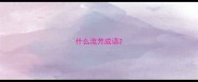 什么流芳成语
