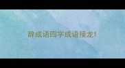 辞成语四字成语接龙