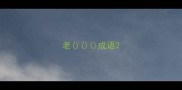 老成语