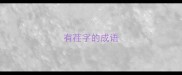有荏字的成语
