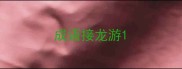 成语接龙游