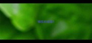 砺伍的成语
