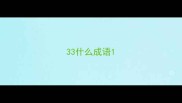 33什么成语