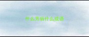 什么芳后什么成语