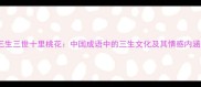 三生三世十里桃花中国成语中的三生文化及其情感内涵