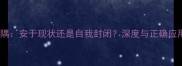 成语安隅安于现状还是自我封闭深度与正确应用指南