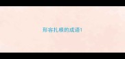 形容扎根的成语