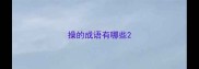 操的成语有哪些
