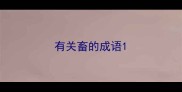 有关畜的成语