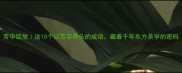 芳华绽放这10个以芳字开头的成语藏着千年东方美学的密码