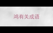 鸿有关成语