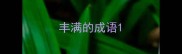丰满的成语