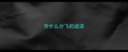 劳什么分飞的成语