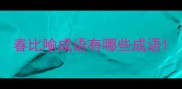 春比喻成语有哪些成语