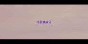 棺材猜成语