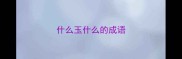 什么玉什么的成语