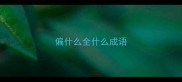 偏什么全什么成语
