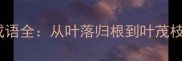 树叶开头四字成语全从叶落归根到叶茂枝荣的文化密码