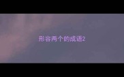 形容两个的成语