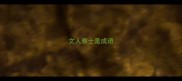 文人雅士是成语