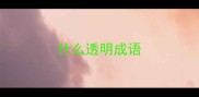 什么透明成语