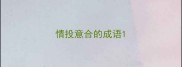 情投意合的成语