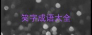 笑字成语大全