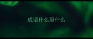 成语什么冠什么