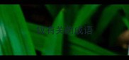 钗有关的成语