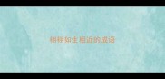 栩栩如生相近的成语