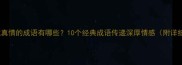 表达真情的成语有哪些10个经典成语传递深厚情感附详细