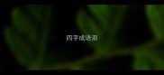 四字成语泪