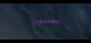 二头成语有哪些
