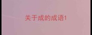 关于成的成语