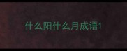 什么阳什么月成语