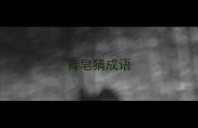 青皂猜成语