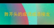 舞开头的成语成语接龙