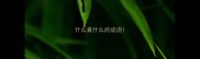 什么囊什么的成语