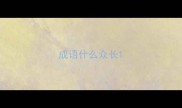 成语什么众长