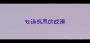 知道感恩的成语