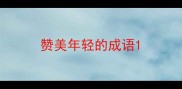 赞美年轻的成语