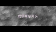 成语身字开头
