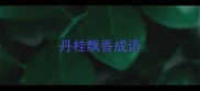 丹桂飘香成语