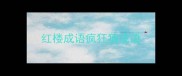 红楼成语疯狂猜成语